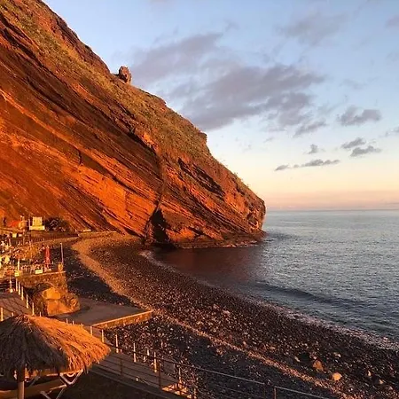 Leonardo كانيكو