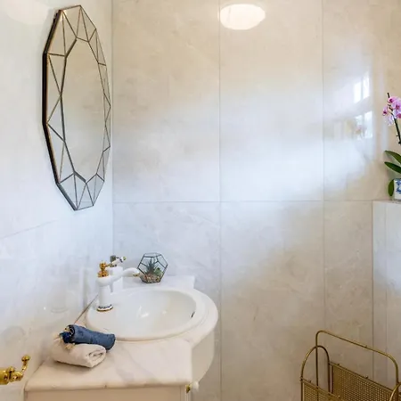 فيلة Leonardo كانيكو