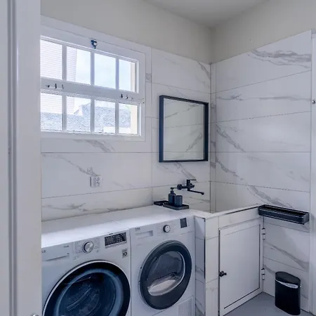 Leonardo فيلة كانيكو